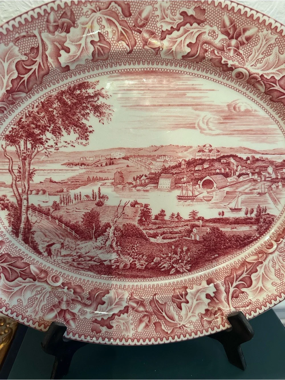 Johnson Brothers Pink Historic America 14.25